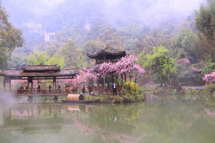 吉鹿力问答社区,解决您的欧阳娜娜被曝供全家开销,为何娱乐圈不存在“童工”一说?疑问