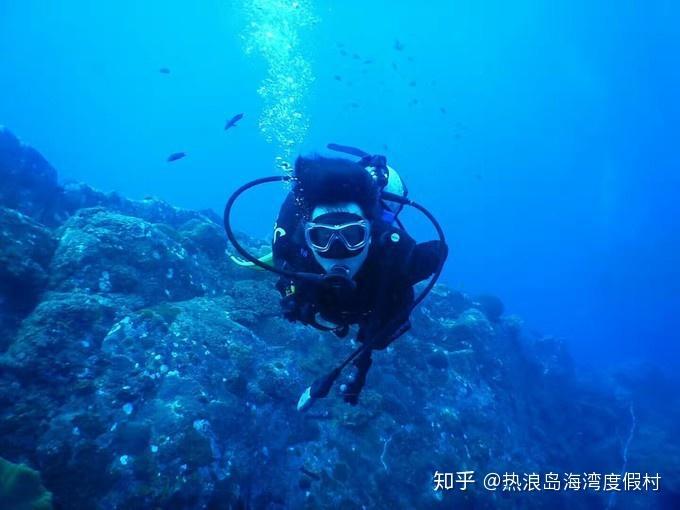 动物帮帮忙保卫家园