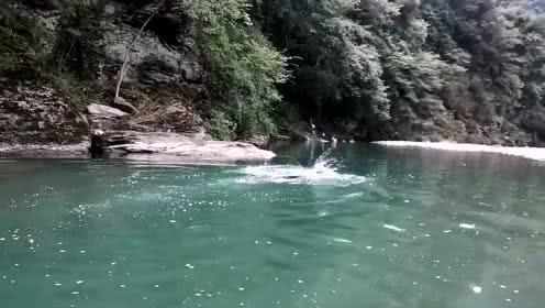 小猫钓鱼正版下载中文版